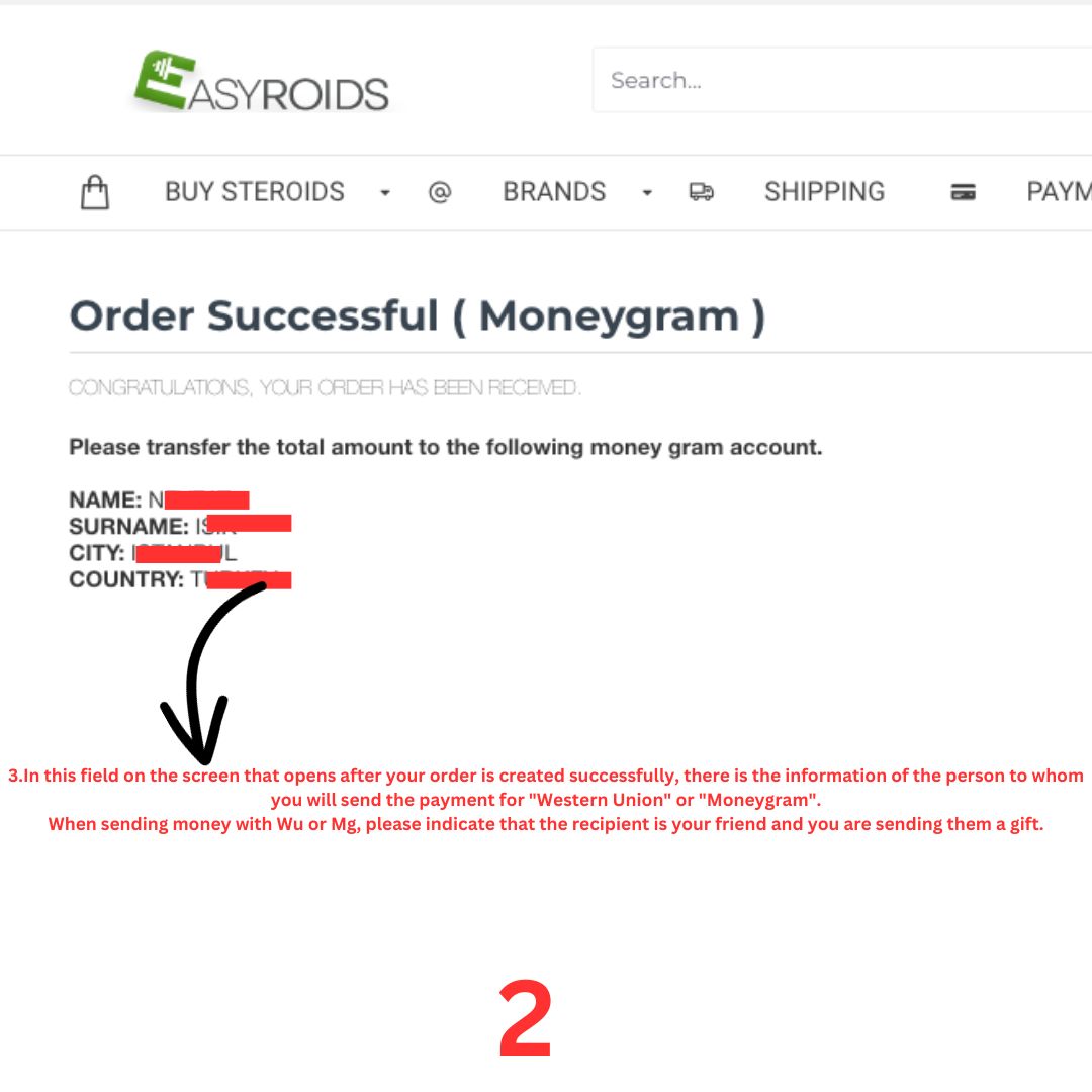 Western union moneygram payments